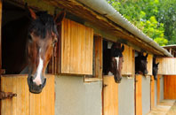 free Colston Bassett stable construction quotes